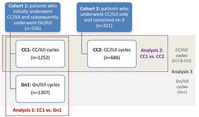 The impact of clomiphene citrate on the endometrium in comparison to gonadotropins in intrauterine insemination cycles: is it thinner and does it matter?